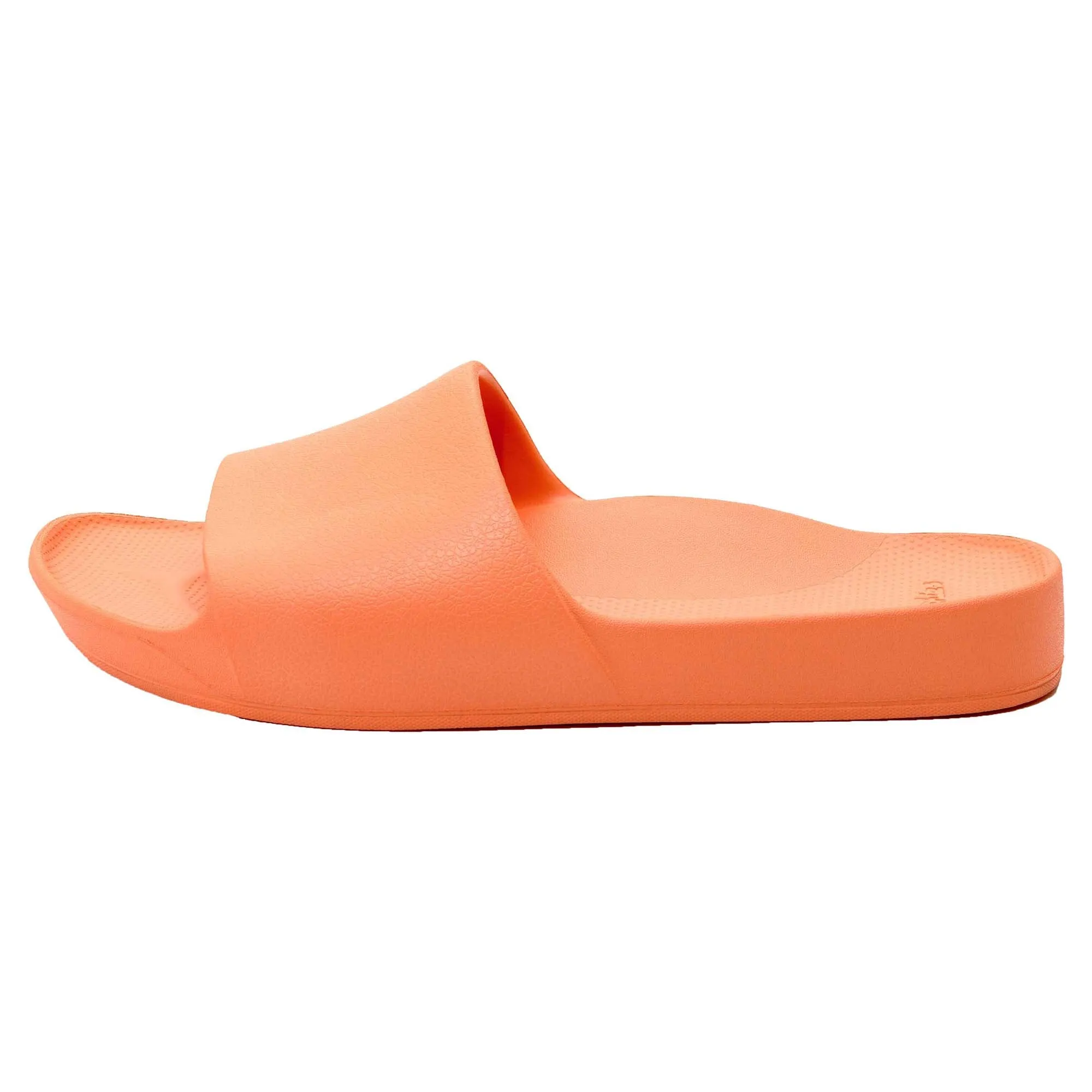 Arch Support Slides